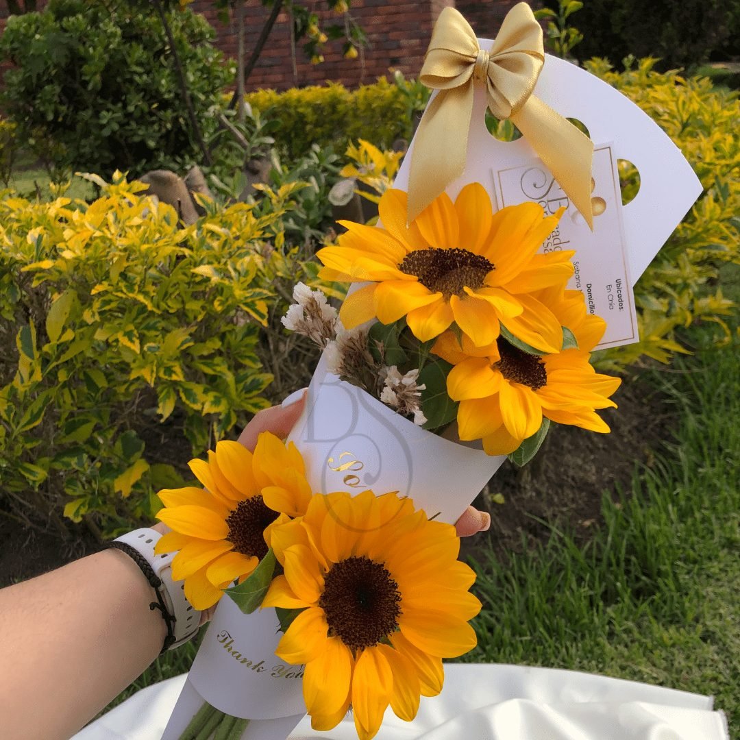 Box Girasol